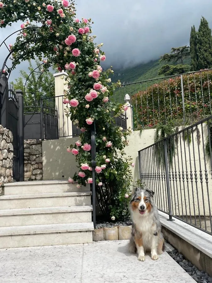 Corte Caiar Bed&Breakfast Caprino Veronese Bed and breakfast